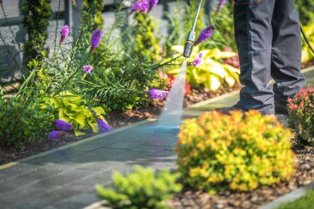  Orangetree, FL Pressure Washing Pros