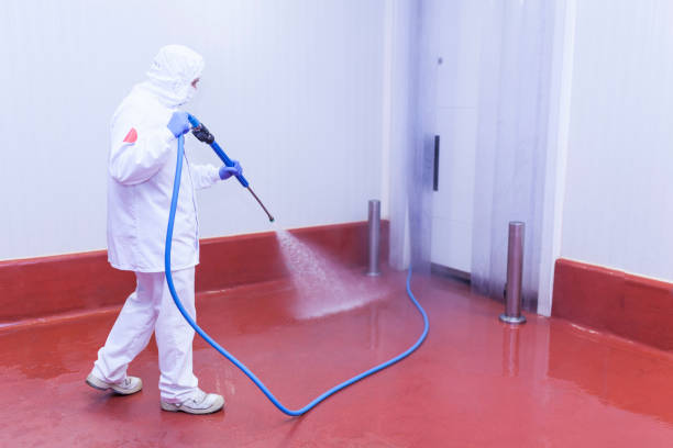Best Playground Equipment Cleaning  in Orangetree, FL